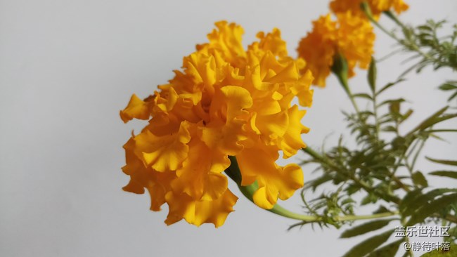 【C8體驗(yàn)團(tuán)】【圖文】喜吧（c8）歡樂(lè)頌