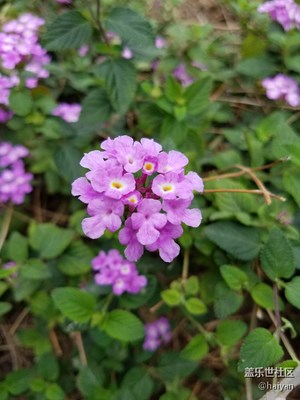 《拾憶》+ 我的2017