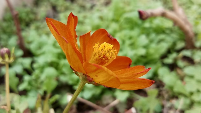 【C8體驗(yàn)團(tuán)】【圖文】喜吧（c8）歡樂(lè)頌