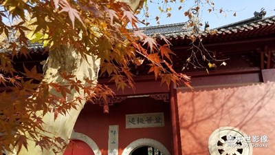 棲霞寺一游
