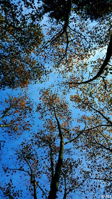 分享，“美”一刻。