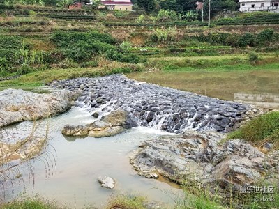 鄉(xiāng)下小溪，石頭還真有點(diǎn)像鱷魚頭