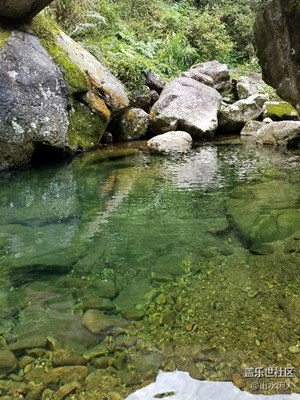 涓涓溪流（生態(tài)圖組）