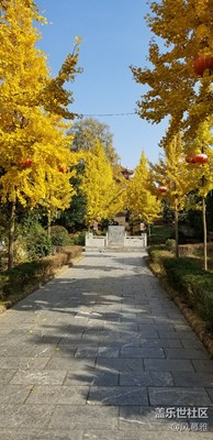 最是那一抹冬日暖陽