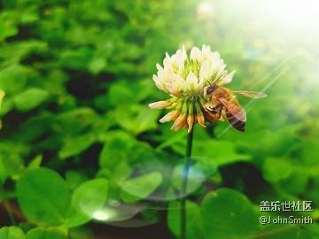 #Note8 雙攝要這么玩兒# 實時虛化+專業(yè)模式