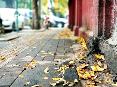 ＃拍才知道＃殘秋