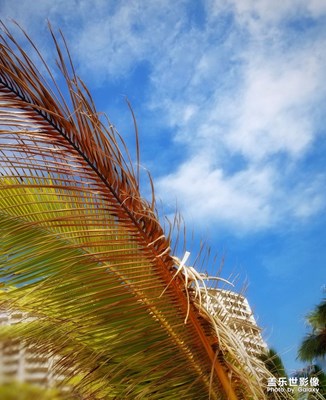 閑游北京、三亞