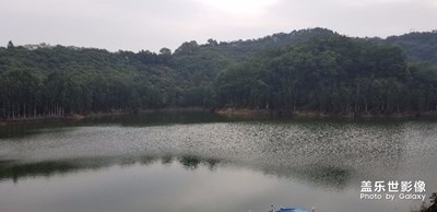 深圳羊臺(tái)山
