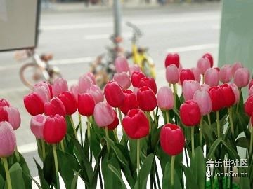 #Note8 雙攝要這么玩兒# 實時虛化+專業(yè)模式