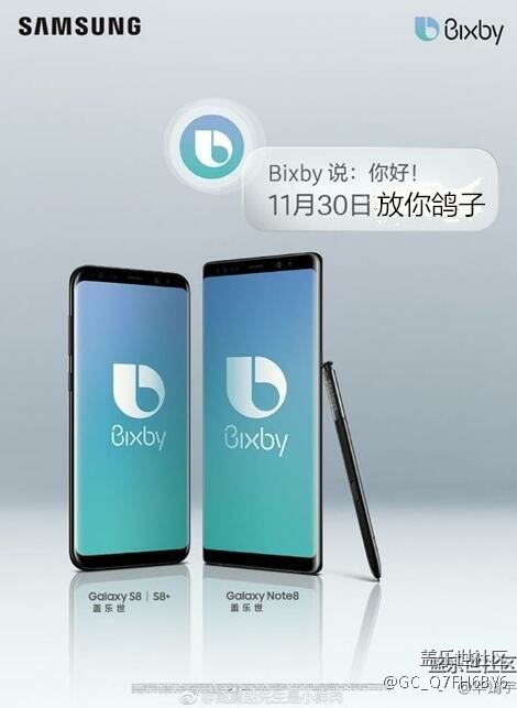 11月30日三星推送一碗鴿子湯