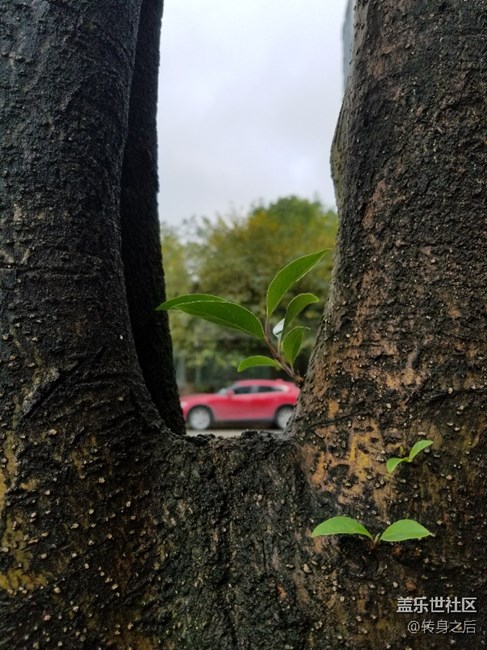 記錄生活中的點滴