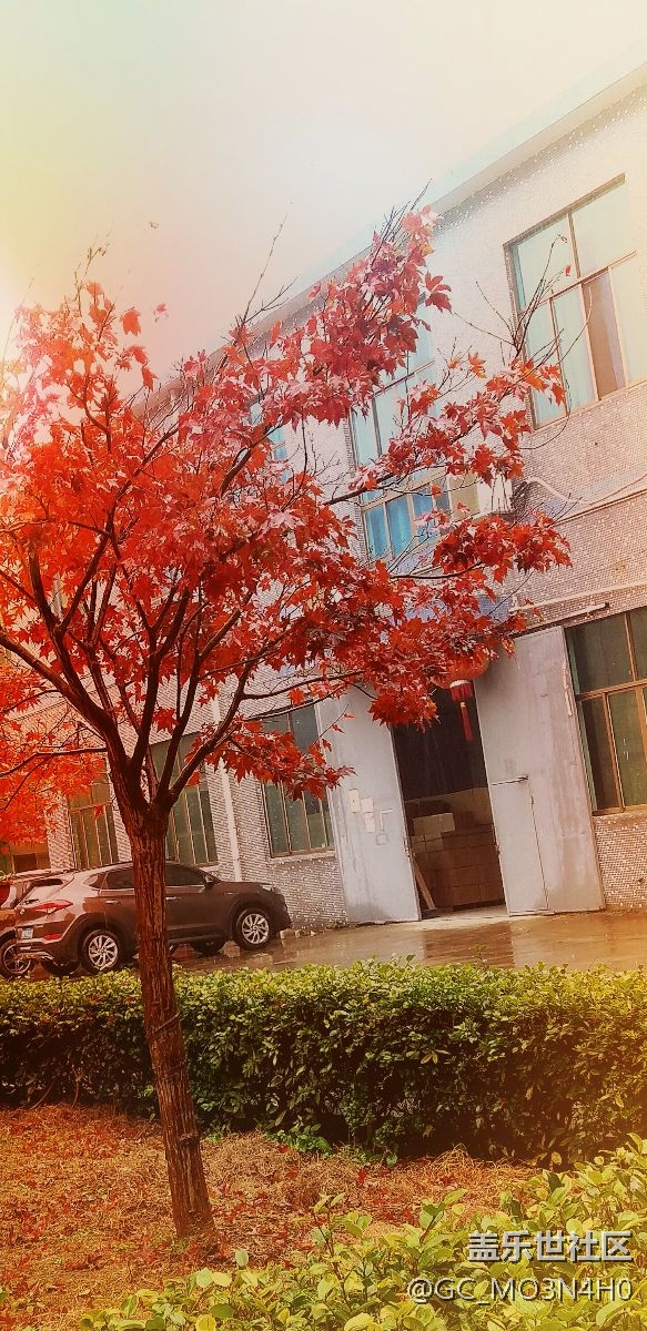 再不更新，我真的要root了