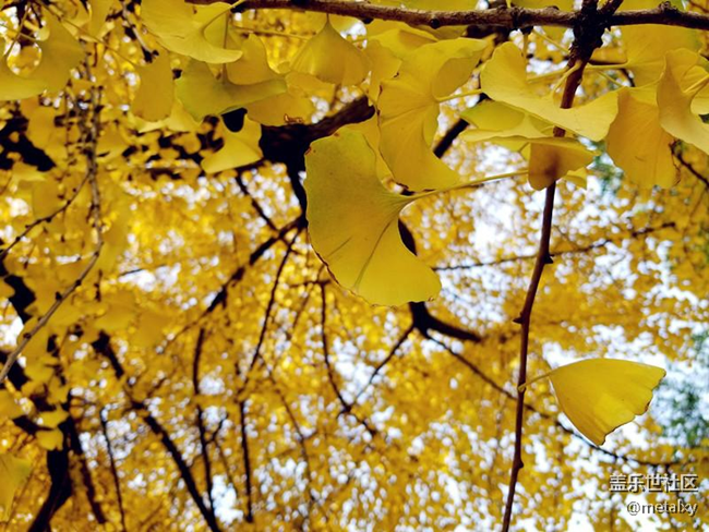 【Note8百人體驗團(tuán)】[圖文類]Note8在手，感覺自己帥到開掛