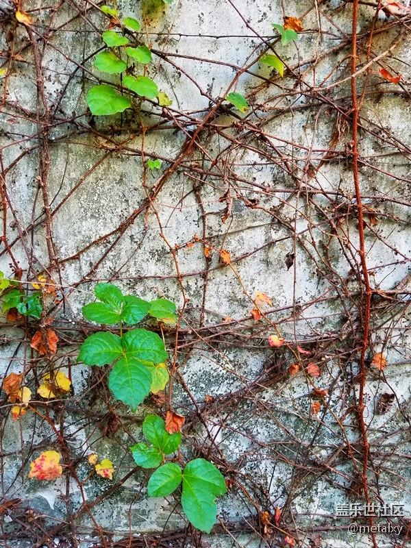 【Note8百人體驗團(tuán)】[圖文類]Note8在手，感覺自己帥到開掛