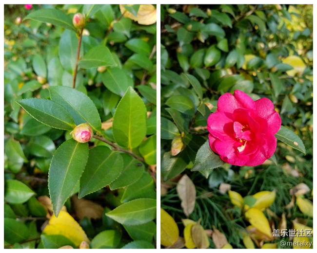 【Note8百人體驗團(tuán)】[圖文類]Note8在手，感覺自己帥到開掛