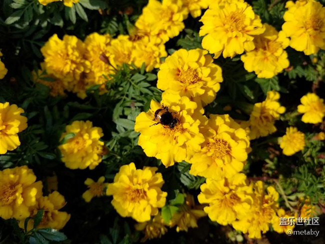 【Note8百人體驗團(tuán)】[圖文類]Note8在手，感覺自己帥到開掛