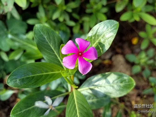 【Note8百人體驗團(tuán)】[圖文類]Note8在手，感覺自己帥到開掛