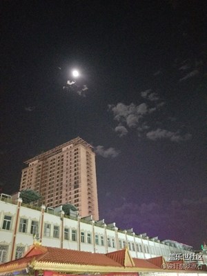夜色下，緬甸翡翠開包，紫羅蘭翡翠手鐲料