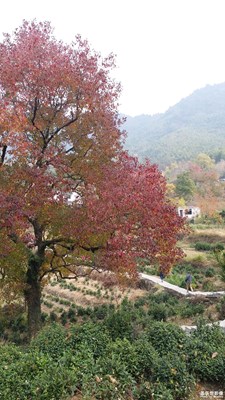 塔川一日游