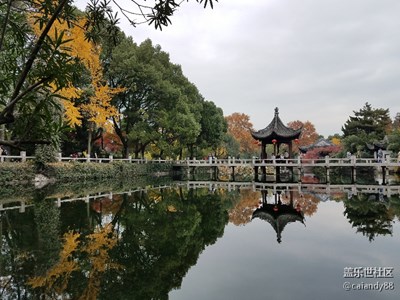 滿園秋色關(guān)不住