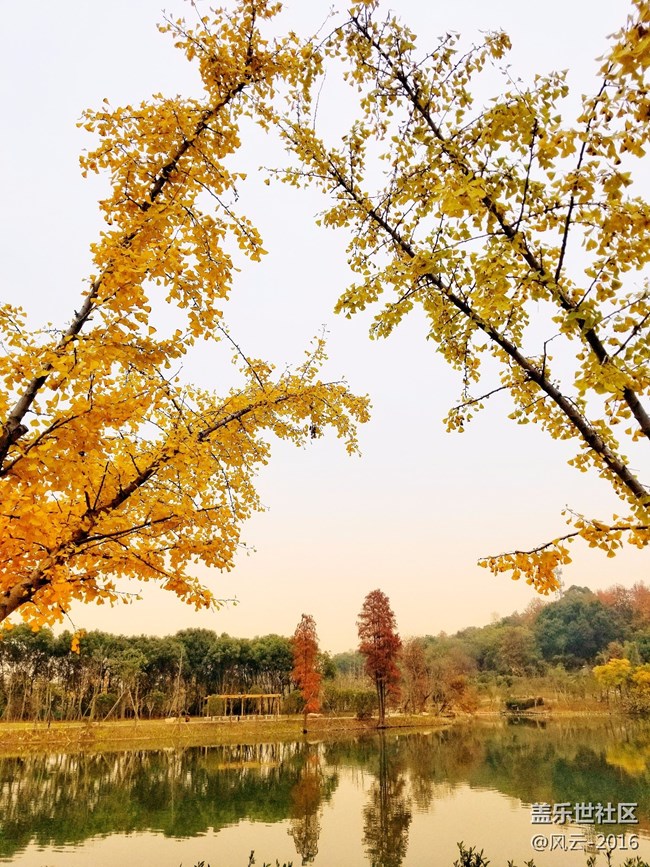 Note8百人體驗團】[圖文類]Note8 拍照初體驗