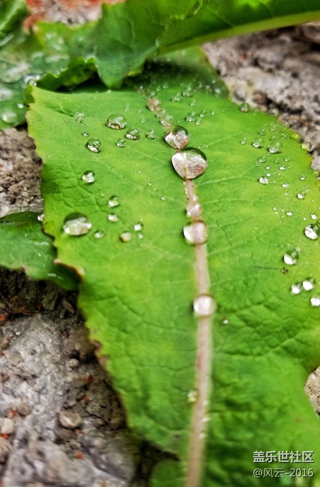 Note8百人體驗團】[圖文類]Note8 拍照初體驗