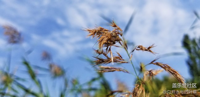 【Note8百人體驗團】[圖文類]Note8輕體驗