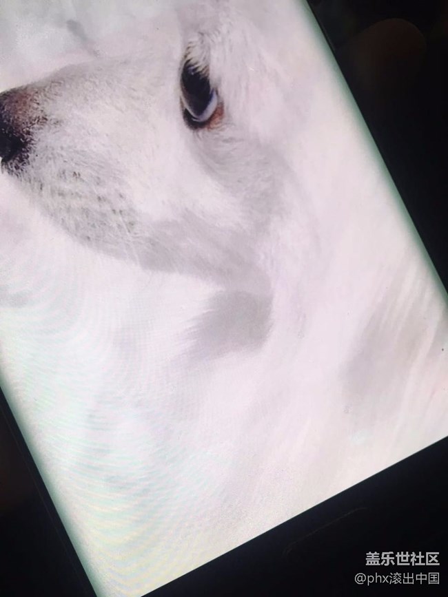 屏幕有黑點(diǎn)，有紅線，還有輸入法的印，什么鬼