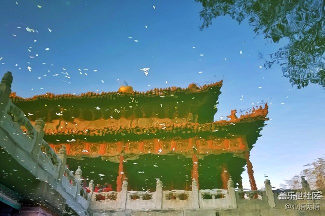 【Note8百人體驗(yàn)團(tuán)】[圖文類]圖說三星Note8拍照功能