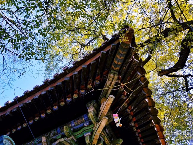 【Note8百人體驗(yàn)團(tuán)】[圖文類]圖說三星Note8拍照功能