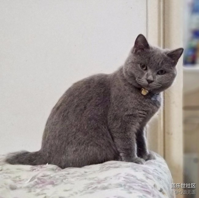 【Note8百人體驗(yàn)團(tuán)】[圖文類]圖說三星Note8拍照功能