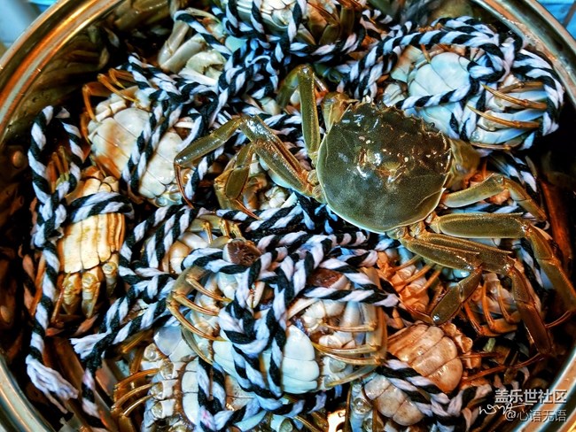 【Note8百人體驗(yàn)團(tuán)】[圖文類]圖說三星Note8拍照功能