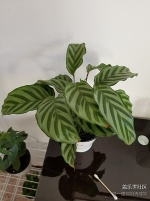 北方冬天的室內(nèi)