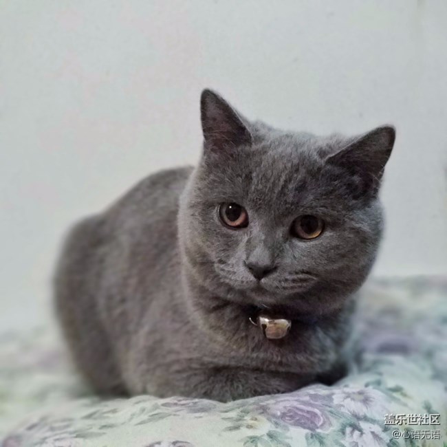 【Note8百人體驗(yàn)團(tuán)】[圖文類]圖說三星Note8拍照功能