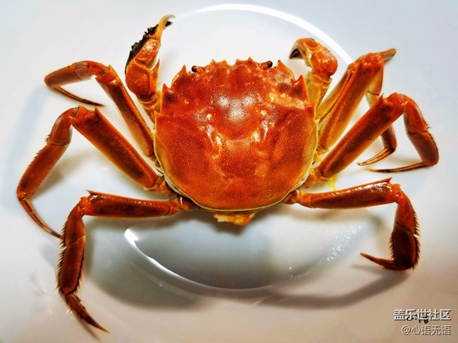 【Note8百人體驗(yàn)團(tuán)】[圖文類]圖說三星Note8拍照功能