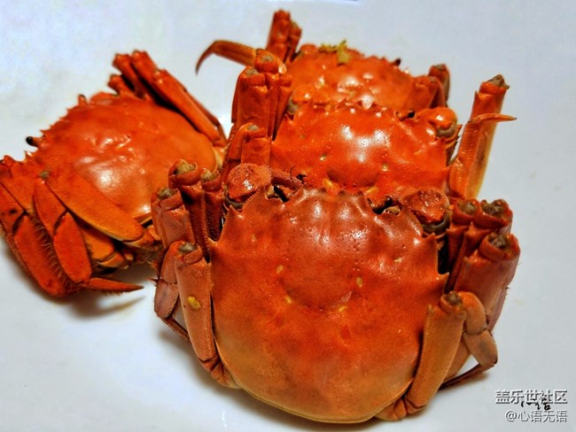 【Note8百人體驗(yàn)團(tuán)】[圖文類]圖說三星Note8拍照功能