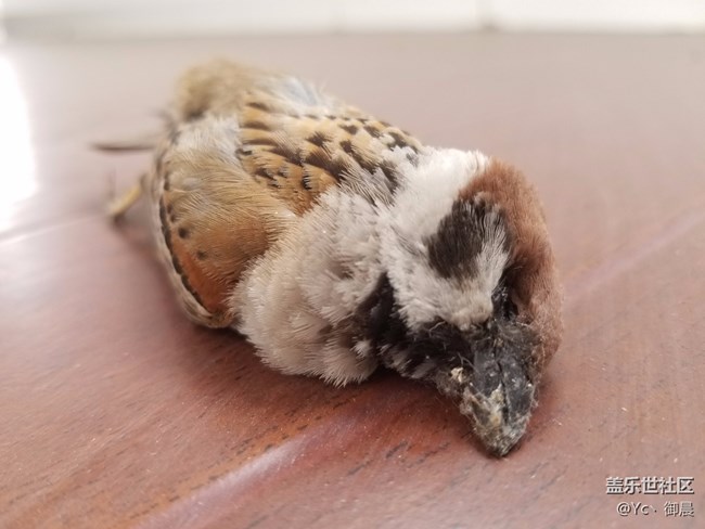 【Note8百人體驗(yàn)團(tuán)】[創(chuàng)意類(lèi)]試過(guò)Note8，想和我手機(jī)絕交！