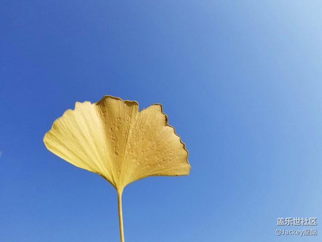 【Note8百人體驗(yàn)團(tuán)】圖文類 不忘初心，商務(wù)旗艦Note8體驗(yàn)