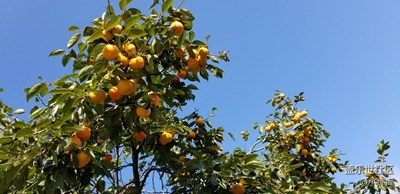 一覺睡到國慶節(jié)