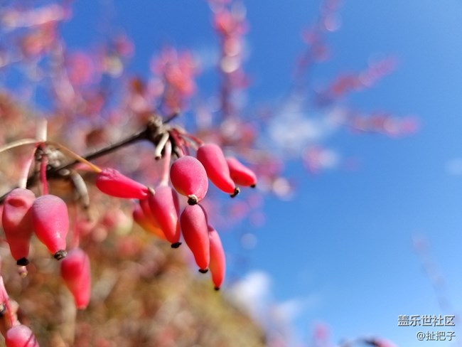 Note8上手體驗(yàn)