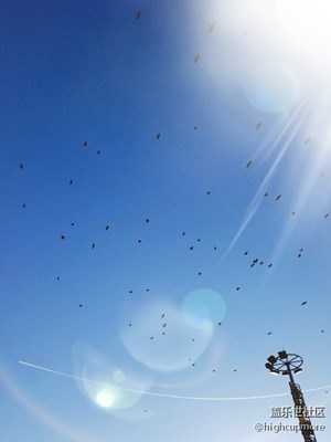 生命與時光的交際