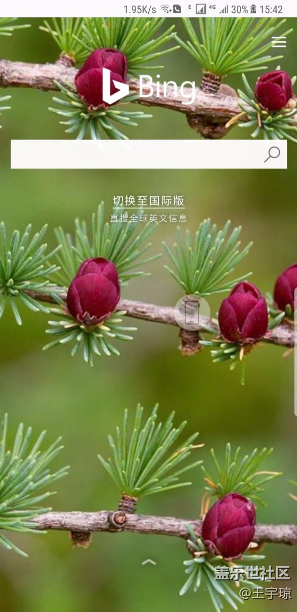 （海賊王）主題壁紙