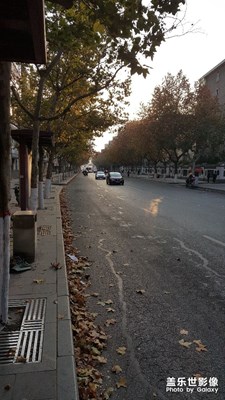 機子鏡頭開機抖動，去售后換的 鏡頭，隨手拍的 ，真不錯！