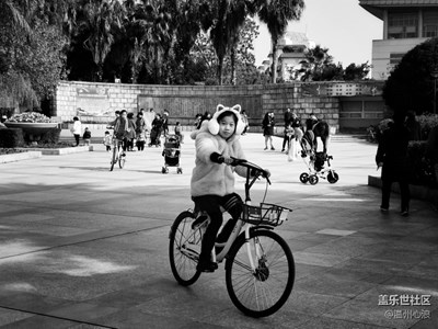 Note8 對(duì)焦神速，已經(jīng)是我的街拍神器