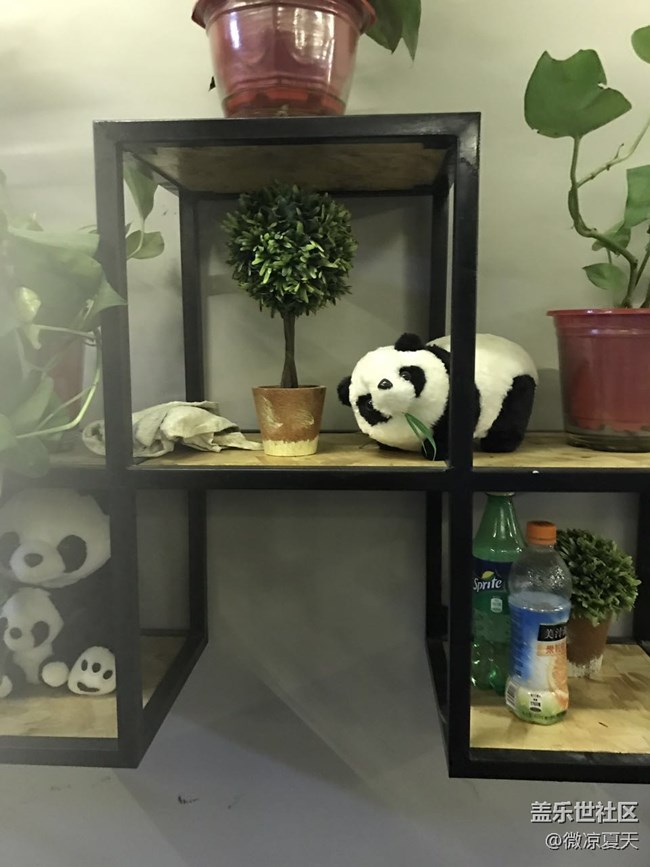 這個(gè)周末過個(gè)圣誕吧 這個(gè)周末過個(gè)圣誕吧