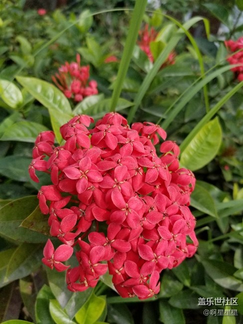 終于搞到了今年最想要的手機(jī) ！ s8＋。簡(jiǎn)單的上手總結(jié)。