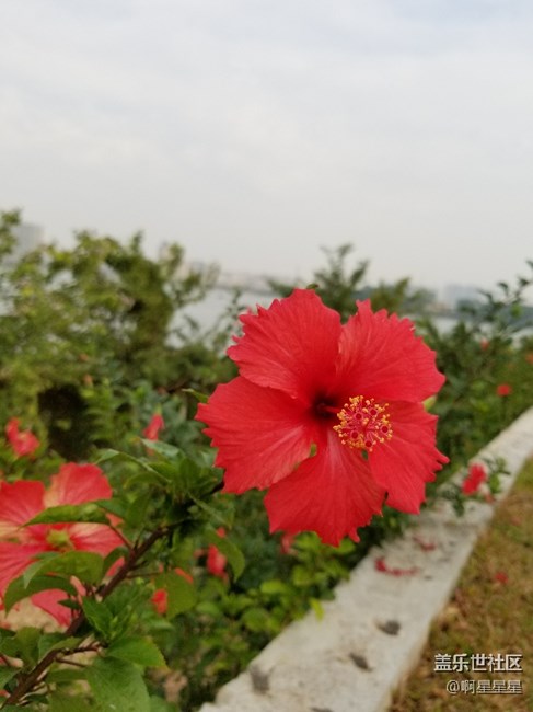 終于搞到了今年最想要的手機(jī) ！ s8＋。簡(jiǎn)單的上手總結(jié)。