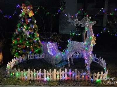 【不一樣的冬  不一樣的南北】+上海寒風中的圣誕燈展