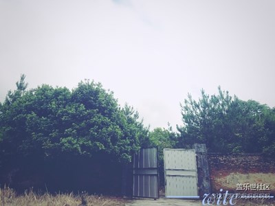 我又來發(fā)照騙啦