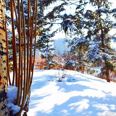 【不一樣的冬 不一樣的南北】+飚雪百丈南北贊！